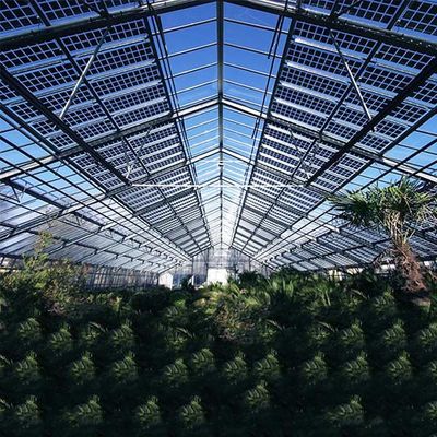 Un bon prix. Charge maximum photovoltaïque de neige de la structure Q235 Q345 1.4KN/M2 de système solaire de serre chaude de toit en ligne