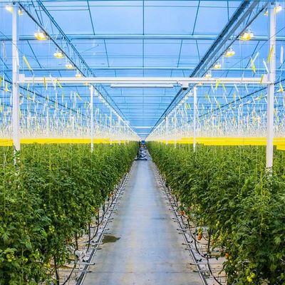 Un bon prix. Serre chaude solaire galvanisée agricole de picovolte de cadre en acier en ligne
