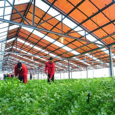 Un bon prix. Structure de soutènement galvanisée à chaud de module de la couche mince de cadre en acier pour les serres chaudes photovoltaïques en ligne