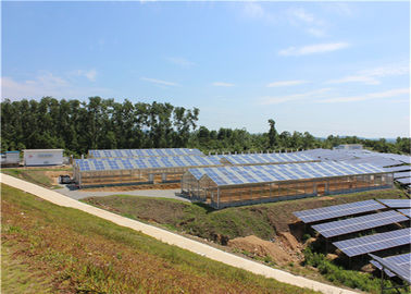 Un bon prix. Structure métallique d'envergure de serre chaude de système solaire d'agriculture de Chambre chaude simple d'usine en ligne