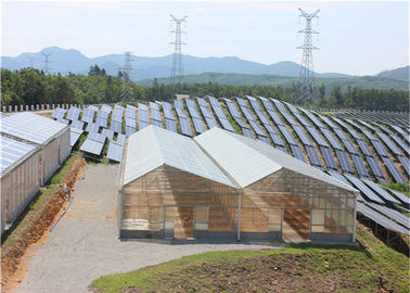 qualité Structure métallique galvanisée de plantation économique à haute densité d'immersion chaude de système solaire de serre chaude usine