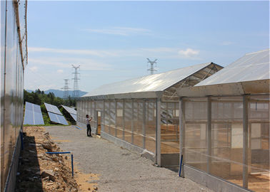 Un bon prix. Cultures agricoles photovoltaïques montées par toit de centrales de système solaire de serre chaude en ligne