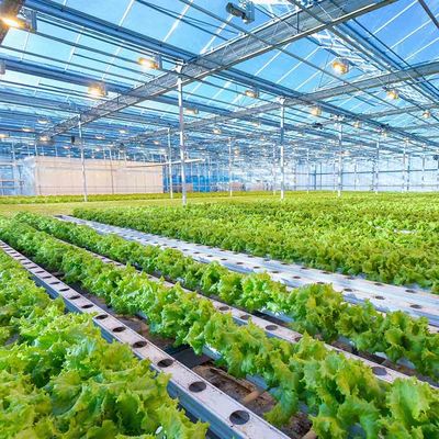 Un bon prix. Structure de montage agricole photovoltaïque de taille de serre chaude de cadre léger réglable intelligent de système solaire en ligne