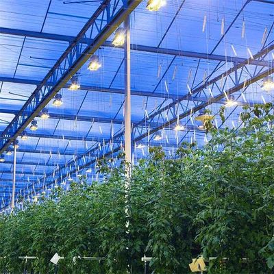 Un bon prix. Structure de soutènement intégrée de module de la couche mince de serres chaudes de systèmes de support de panneau de picovolte en ligne