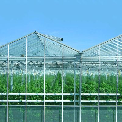 Un bon prix. Système solaire photovoltaïque monté au sol pour la ferme d'usine en ligne