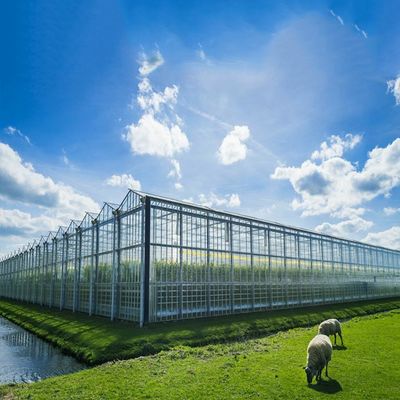 Un bon prix. Système solaire de serre chaude multi du but 500KW BIPV en ligne