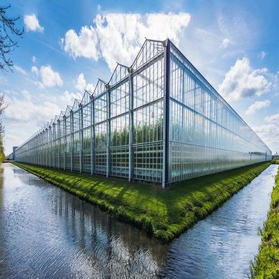 système solaire de 60m/S Max Wind Speed Anticorrosive Greenhouse