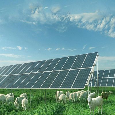 Un bon prix. Panneau solaire galvanisé de métal non précieux rectifié montage de la structure de systèmes en ligne