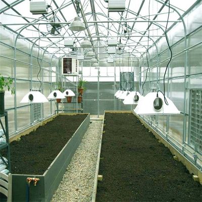 Un bon prix. Systèmes de montage solaires de serre chaude moulue ouverte de cadre en acier en ligne