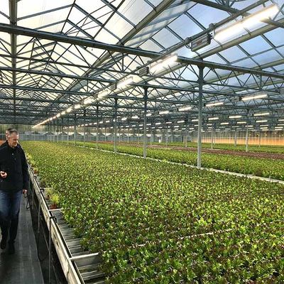 Un bon prix. Épaisseur à énergie solaire de la serre chaude 2.0mm 2.5mm d'agriculture de résistance à la corrosion en ligne