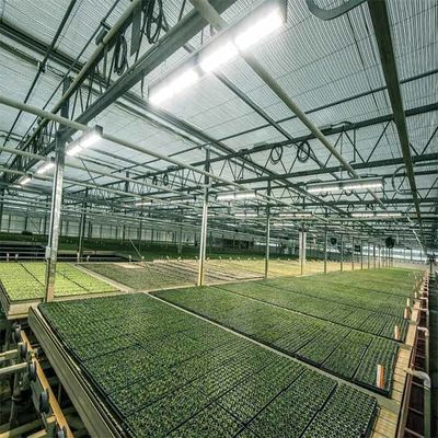 Un bon prix. A Frame Outdoor Irrigation Agricultural Solar Powered Greenhouse en ligne