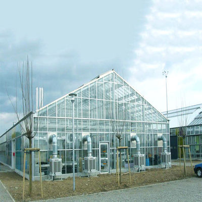 Un bon prix. Système solaire galvanisé de serre chaude de structure de cadre en acier pour la ferme en ligne