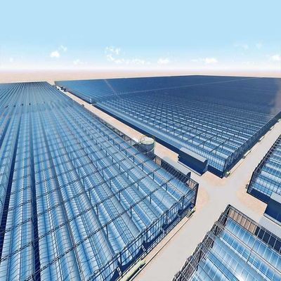 Un bon prix. L'immersion chaude a galvanisé le système de montage photovoltaïque en acier pour la serre chaude en ligne