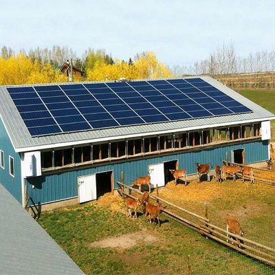 Un bon prix. Système solaire monté au sol galvanisé pour la serre chaude en ligne