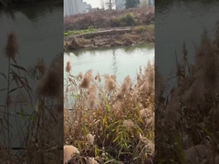 Pompes à eau de puits profonds submersibles à courant continu de 3 pouces avec contrôleur MPPT